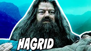 What Happened to Hagrid after the Deathly Hallows  Harry Potter Explained [upl. by Howlan]