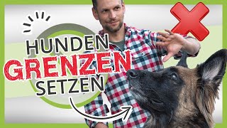 So versteht dein Hund dich wirklich Hunden GRENZEN setzen [upl. by Htebazileyram]