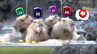 capybara 9999999 rank [upl. by Hume]