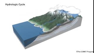 Hydrologic Cycle [upl. by Nyladnewg302]