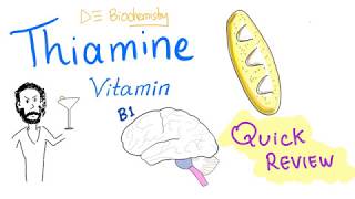 Vitamin B1  Thiamine  Quick Review  Sources Functions Deficiency Treatment [upl. by Philipp]