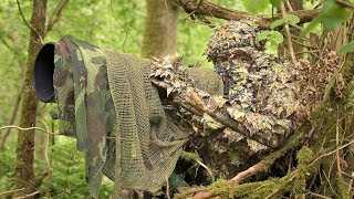 BIRD PHOTOGRAPHY in the forest  Wildlife photography behind the scenes  Nikon Z7 FTZ camouflage [upl. by Maddi259]