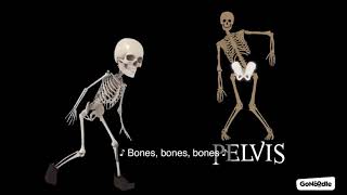 Bones Bones Bones [upl. by Durware]