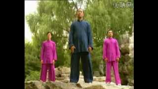 Qigong  Five Animals [upl. by Hguh]