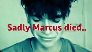 Lucas and Marcus Sad [upl. by Hanus]