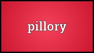 Pillory Meaning [upl. by Atinauj]