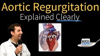 Lecture 9  Aortic Valve Part 1 [upl. by Hasan919]