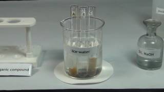 Tests for Amines  MeitY OLabs [upl. by Aititel]