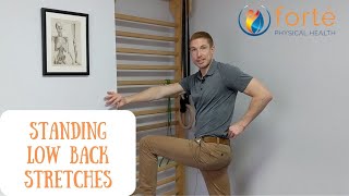 Low back stretches from a standing position [upl. by Ahseyt]