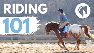 HOW TO RIDE A HORSE EASY BEGINNERS GUIDE [upl. by Scotty682]