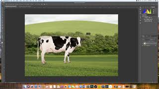 How to insert an image into another image Photoshop  EASY EXPLANATION [upl. by Ediva]