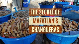 Unique Things to Do in Mazatlan Mexico  The Secret of the MAZATLÁN SHRIMP LADIES LAS CHANGUERAS [upl. by Neetsirhc]