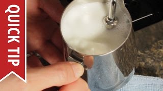 How to AutoFroth Milk for Lattes [upl. by Masterson]