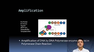 DNA Barcoding Primer Design Sequencing and Contig Assembly [upl. by Nocaj]