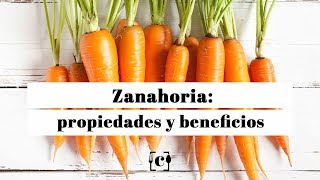 Zanahoria propiedades beneficios y valor nutricional [upl. by Otit]