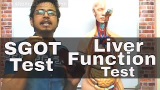 SGOT test in Hindi  SGOT test procedure [upl. by Aipotu]