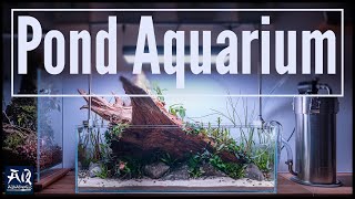 Pond Style Aquarium mit Teichpflanzen  Komplette Einrichtung  AquaOwner [upl. by Nirrad773]