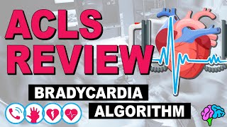 Bradycardia  ACLS Review [upl. by Adnaerb630]