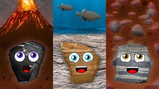 3 Types of Rocks and The Rock Cycle [upl. by Boleyn]