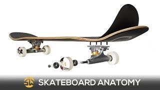 Skate Basics The Anatomy of a Skateboard [upl. by Fadil]