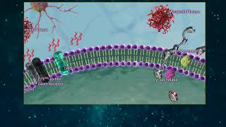 Amyloid Beta Processing [upl. by Adnavoj514]