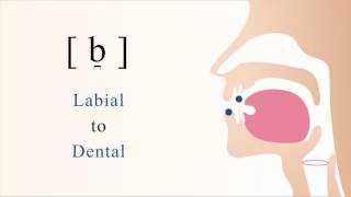 b̪  voiced unaspirated labiodental stop [upl. by Elodea]