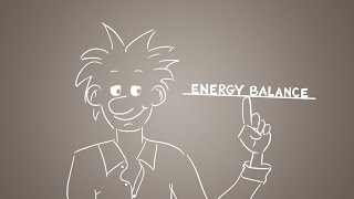 Energy balance explained  get the balance right [upl. by Muhcan]