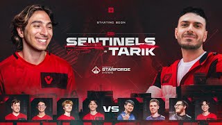 Sentinels vs Tarik Showmatch Powered by Starforge [upl. by Mendel27]