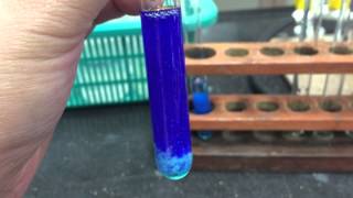 Cation Test CopperII Ions [upl. by Somisareg]