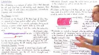 Microfilaments Intermediate Filaments and Microtubules [upl. by Devine]