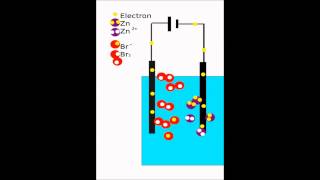 Electrolysis animation ZnBr2 [upl. by Akiemaj940]