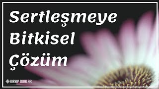 Sertleşmeye Bitkisel Çözüm Sertleşmesi İçin Ne Yemeli [upl. by Ahseral]