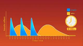 Insulin Regimens animation [upl. by Eadrahc]