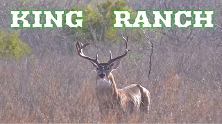 Hunting the King Ranch in Kingsville Texas [upl. by Hanoj]