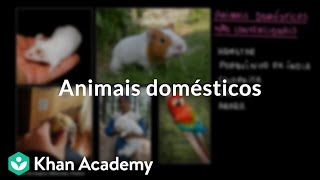 Animais domésticos [upl. by Yahsed]