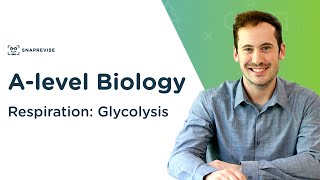 Respiration Glycolysis  Alevel Biology  OCR AQA Edexcel [upl. by Ebner]