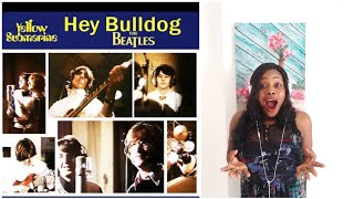 The Beatles Hey Bulldog Reaction Video [upl. by Tamar]