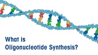 What is Oligonucleotide Synthesis [upl. by Eyt]