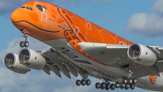 60 MINUTES PURE AVIATION  AIRBUS A380 ILYUSHIN 62 BOEING 747  Aviation Review of Year 2020 4K [upl. by Louanne]