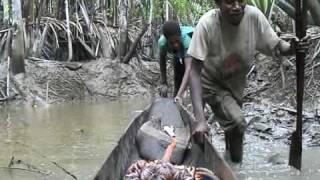 fishing  Asmat Papua [upl. by Asta]