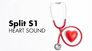 Split S1  Heart Sounds  MEDZCOOL [upl. by Viscardi]