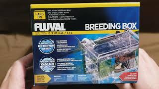 Fluval Breeding Box Unboxing and Review [upl. by Gaves590]