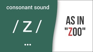 Consonant Sound  z  as in quotzooquot – American English Pronunciation [upl. by Assirrec]