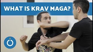 What is Krav Maga [upl. by Rezal]