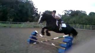 Shire horse jumping [upl. by Ahk333]