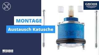 Austausch der Kartusche  Montage  Grohe [upl. by Erdnaid649]