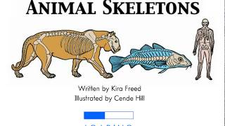 Animal Skeletons [upl. by Corney694]