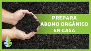 Cómo hacer ABONO ORGÁNICO CASERO paso a paso🌱  Mejores fertilizantes caseros 🍌 [upl. by Maximilian398]