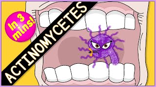 Actinomycetes Microbiology Morphology pathophysiology symptoms diagnosis treatment [upl. by Ivatts]