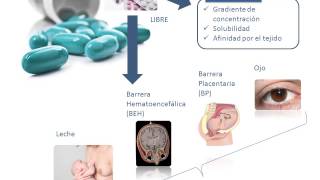 Tema 3 FARMACOCINÉTICA Distribución [upl. by Sparky]